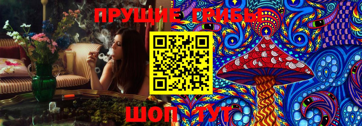 Верхняя Пышма  Псилоцибиновые грибы Cubensis  Вход с VPN 